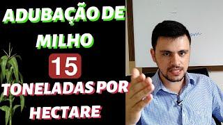 Adubação de Milho: Produzindo mais de 15 Toneladas por Hectare