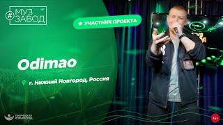 МУЗ ЗАВОД [LIVE] 301-й выпуск. Odimao.