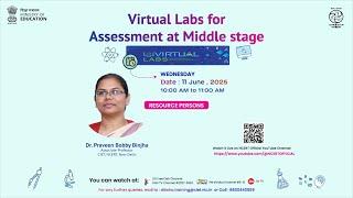 Virtual Labs for Assessment at Middle stage