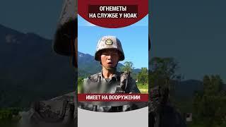 Огнеметы на службе у НОАК