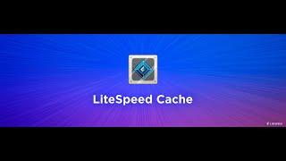 LiteSpeed Cache Plugin - Best settings for WordPress