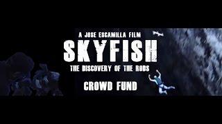 The SKYFISH Crowd Fund