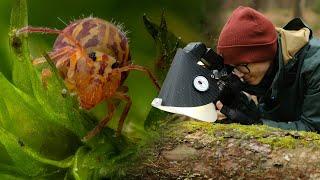 Photographing the Hidden World of the Forest Floor - Macro Walks ep9