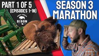 Cross Timbers Bison: SEASON 3 MARATHON! (Part 1 of 5)
