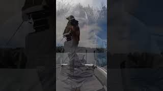 Spring Chatterbait Tips With Matt Allen #tacticalbassin #bassfishing #fishing