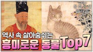 [문화유산 알려줌 시즌2] 동물도 있다! 역사 속 살아 숨쉬는 흥미로운 동물 TOP 7 (SUB)