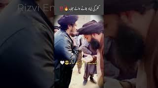 شیر Syed Ahmed Shah Bukhari | Hassan Raza Naqshbandi #hafizsaadhussairizvi #virelshorts