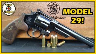 You've Got To Ask Yourself One Question....Smith & Wesson Model 29 Quick Range Review!