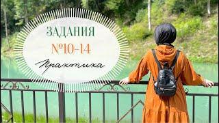 10-14 задания ЕГЭ: Практика | Русский язык