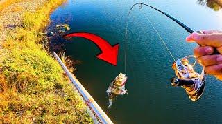 SPILLWAY FISHING for PEACOCK BASS | Tarpon, Largemouth and Peacock Bass Fishing