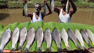 KATLA FISH Prepared by my daddy in MUD HOUSE Kerala / Village food factory