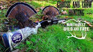 Grouse and Crow Hunting with Northwest Wild and Free