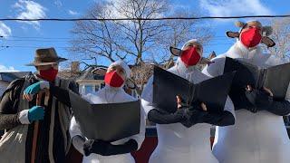 Les moutons caroling in The Junction