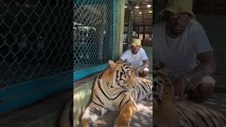 @MyFabolousLife is WILD for this one!chillin’-with a-whole like it’s normal  #fabolous #rapper