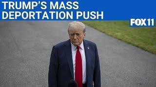 Trump doubles down on ICE raids in Los Angeles, Chicago, NYC | FOX 11 LA