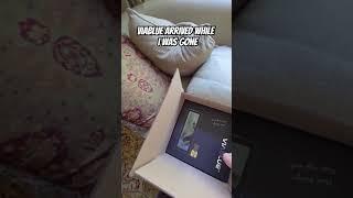  Viablue Goodies Arrived Including the Phono Cable!