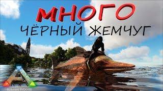 Ну просто куча ЧЁРНОГО ЖЕМЧУГА и других ништяков в ARK SURVIVAL EVOLVED