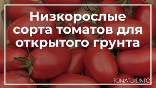 Низкорослые сорта томатов для открытого грунта | toNature.Info