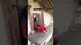 Himachal Village Life  #shimla #himachal #pahadi