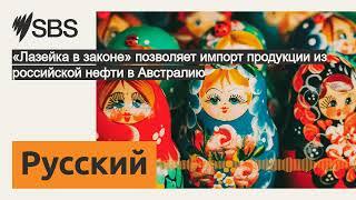 «Лазейка в законе» позволяет импорт продукции из российской нефти в Австралию | SBS Russian -...