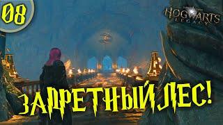 #08 ЗАПРЕТНЫЙ ЛЕС HOGWARTS LEGACY Полное Прохождение на русском