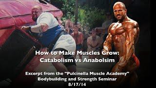 How to Make Muscles Grow: Catabolism vs Anabolism