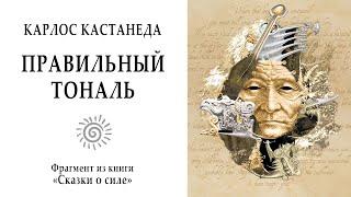 Правильный тональ / Кастанеда. Учение дона Хуана. Сказки о силе (фрагмент). Магия. Мистика