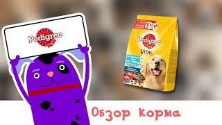 Обзор корма Pedigree для взрослых собак с говядиной