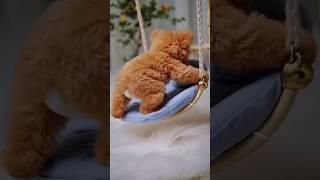 TEDDY BEARS HAVE R&R - AI