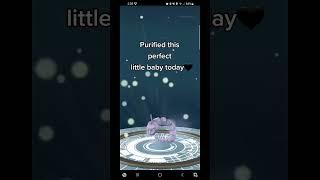 Perfect Little Cutie! #pokemon #pokemongo #fok #pokemonlegacy #onix