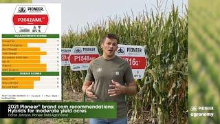 2021 Pioneer® brand corn recommendations: Hybrids for moderate yield acres