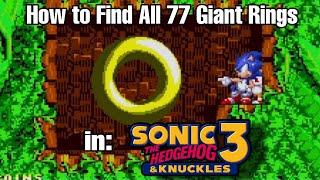 How To Find All 77 Giant Rings in Sonic the Hedgehog 3 & Knuckles - The Ultimate Guide (2K/60FPS)