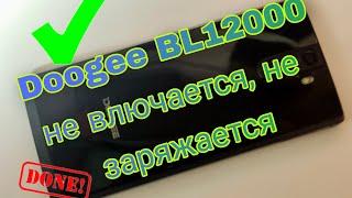 Doogee BL12000- не включается, не заряжается. Разборка и ремонт | Doogee BL12000- does not turn on