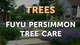 Fuyu Persimmon Tree Care