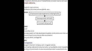 Pleomorphic adenoma pathology