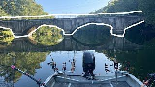 Carp Fishing in Front of a Bridge (Summer Carp Fishing)