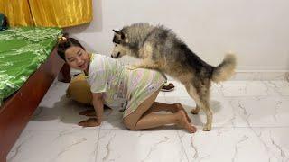 Aww!! KOUCH don't know why TONY get angry me again? But KOUCH try to comforting TONY with food