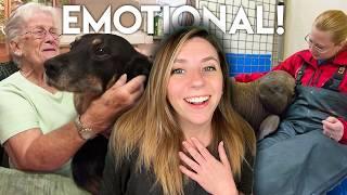 My Favorite Feel-Good Animal Stories | Compilation