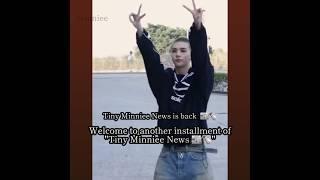 Tiny Minniee news is back ️  | #straykids