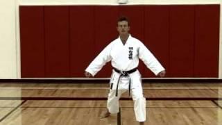 Basic Karate Kicks - Mawashigeri