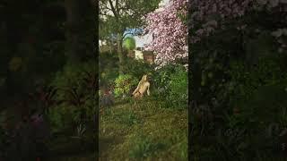 Photorealistic 3D Garden of Eden Created in Blender Cycles