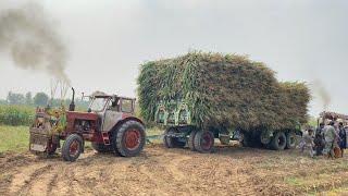 12 October 2023 king of Belarus Mtz 50 heavy load Trailer 