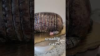 armadillo cake anyone #baker #cake #cakedecorating