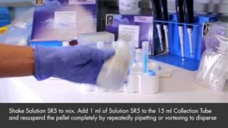 RNA PowerSoil® Total RNA Isolation Kit - Visual Protocol