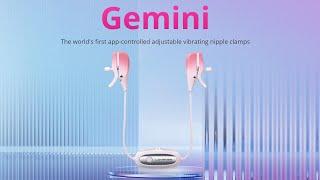 LOVENSE Gemini Video