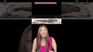 Osiris bed - Small Egyptian Ritual “Garden”