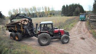 Belarus Mtz 892 forestry tractor with homemade trailer and Mtz 1025 logging in summer forest