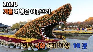 2024.10.11월은 이곳으로 여행을!~ 전국 가을 국화 축제 10곳