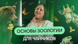 ОСНОВЫ ЗООЛОГИИ ДЛЯ ЧАЙНИКОВ  | ОГЭ по биологии 2024