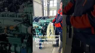 China big brand new truck engines WD615.47 Sinotruk engine for heavy trucks 371hp engine for sale